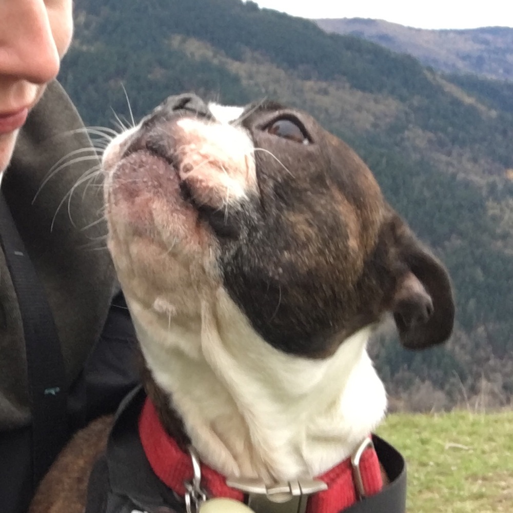 Meet your Posher, Kate